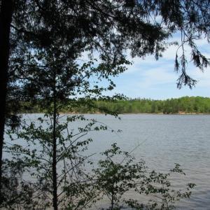 lake wateree state park