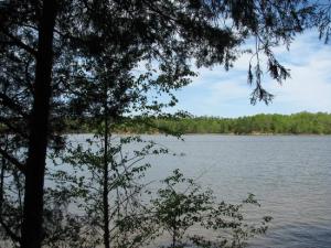 lake wateree state park